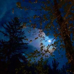 Meet your Posher, Paula